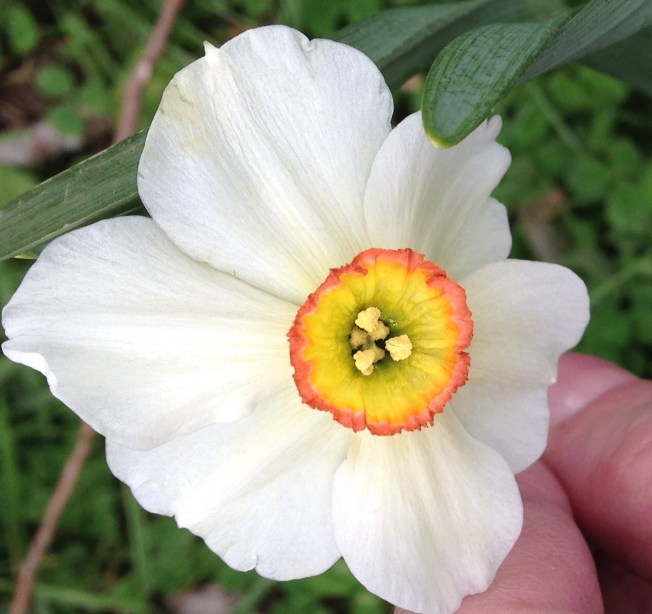 33ADBF47-9798-4B3F-B234-773DD9D29DB0