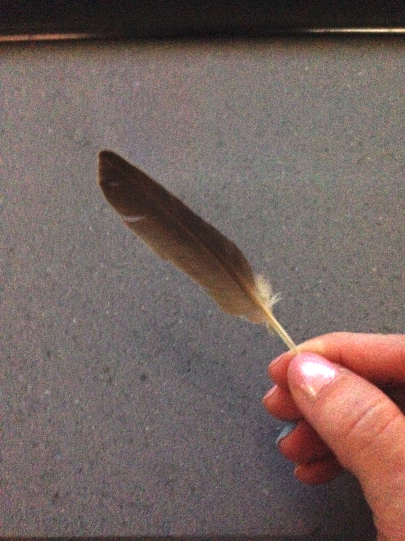 3CAEE1EC-C7D6-4649-B5F5-ED69098F6290