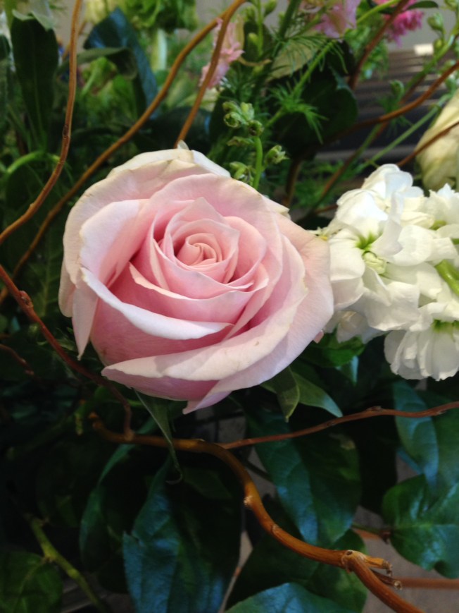 7A81A732-EC2F-4ACB-853F-93FCB2A3C179