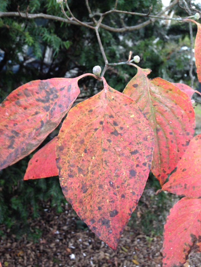 DDC9CDAD-F49D-4083-A37B-F917729AE66F