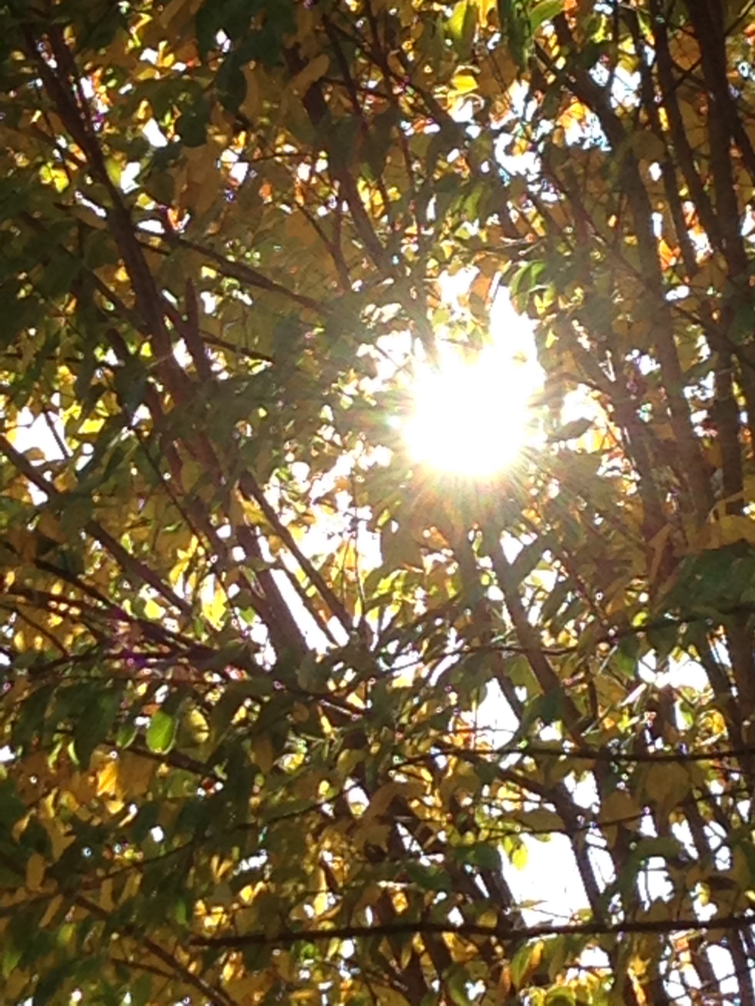 92E72324-C1A8-4482-B21C-D2498A0BF36D