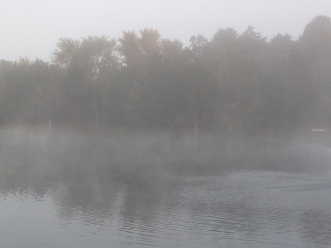 F2D0D71F-FC08-4C8D-B718-5DFFEF3A89BC