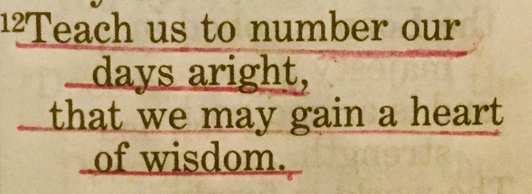 229AC8C7-B233-4116-B32A-49C17454EE78