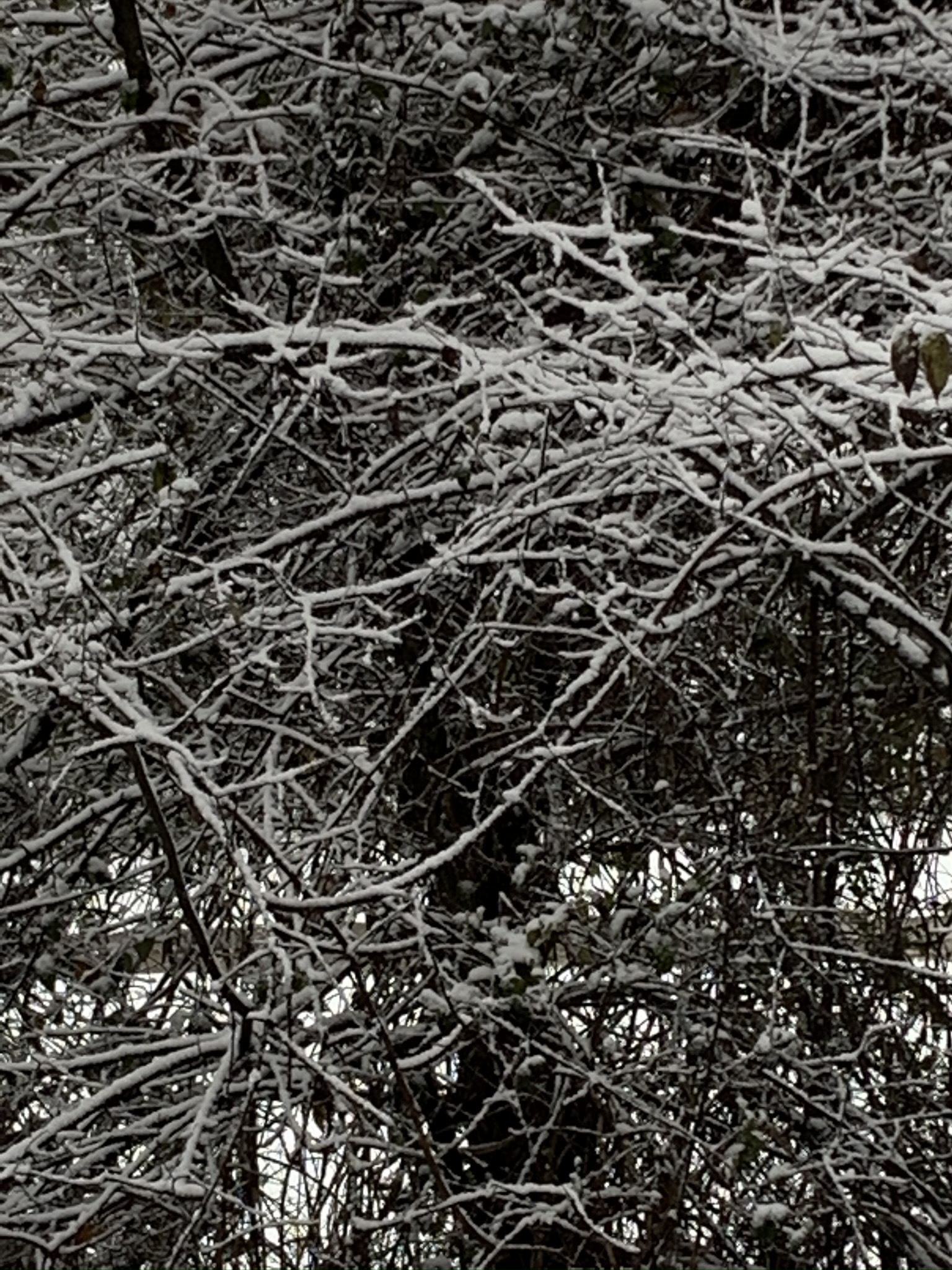 E68CB1FC-1A7F-42D1-A5BF-48E5BF97E041