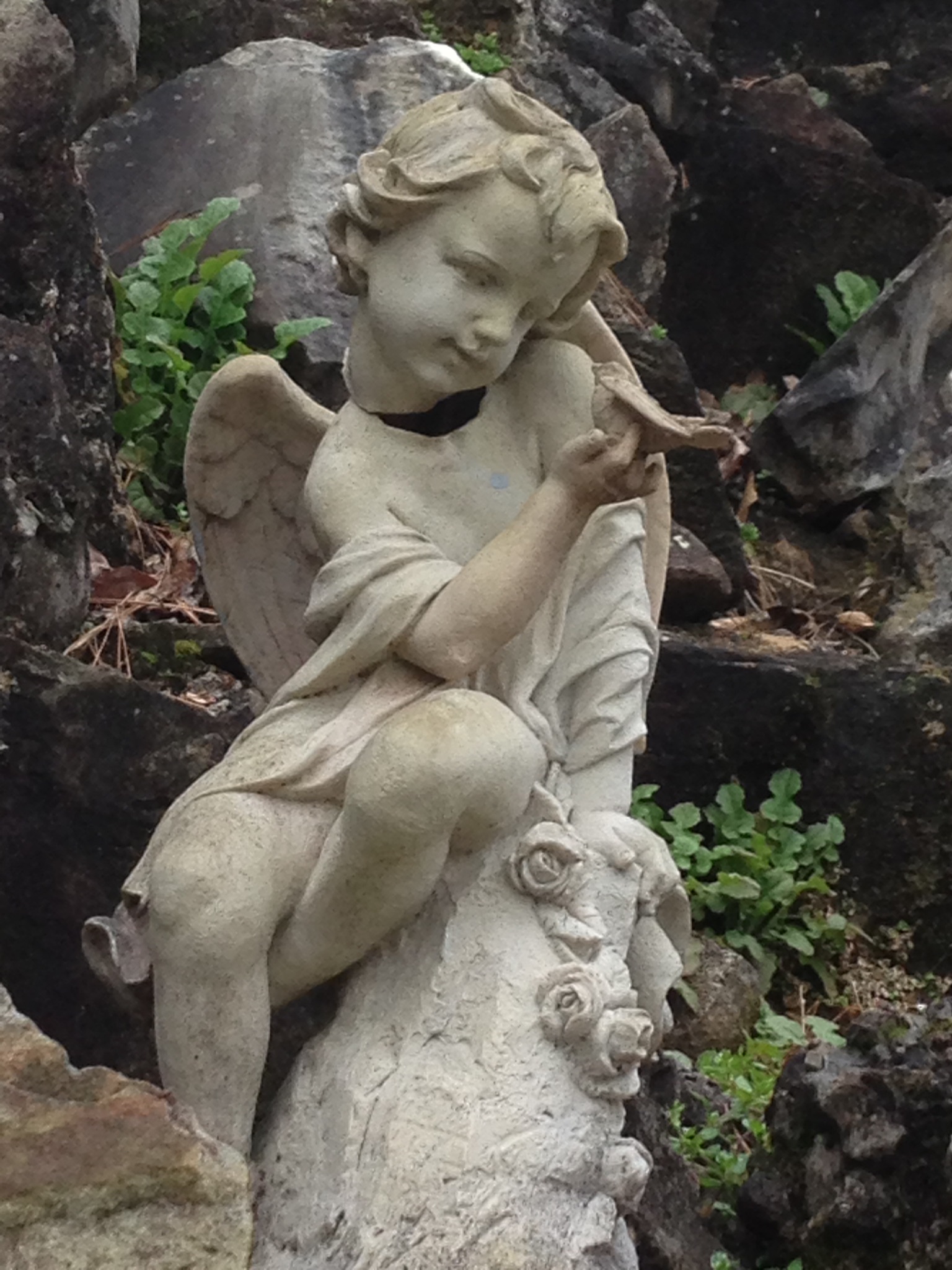 1D5500E1-32D0-4DA4-815F-73045E8344B8