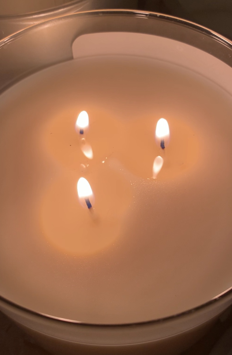 A286A42D-565D-41E7-99A0-0FA9EE406E04