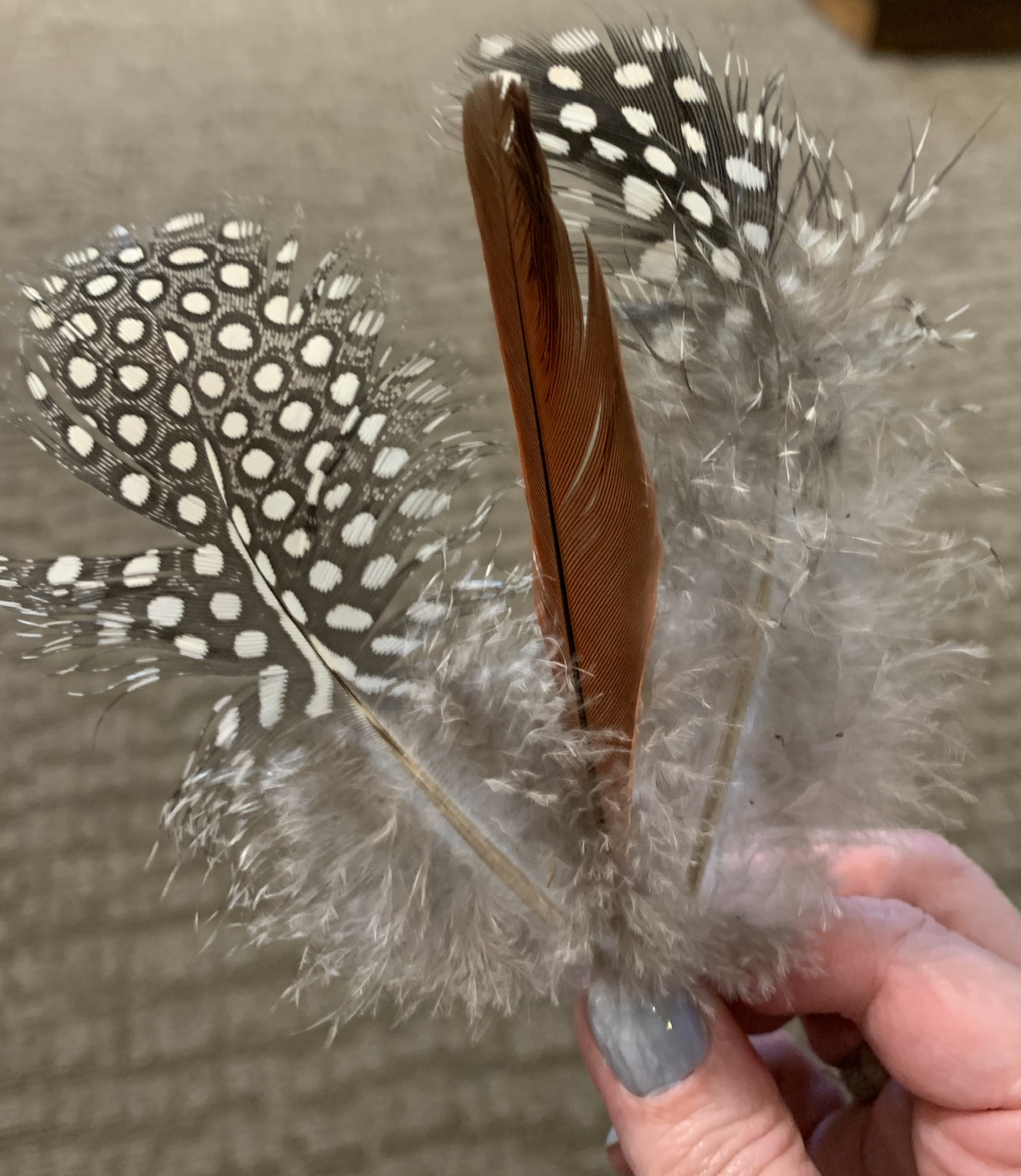 327CDF45-4D0B-463F-B82C-72C818F2905C